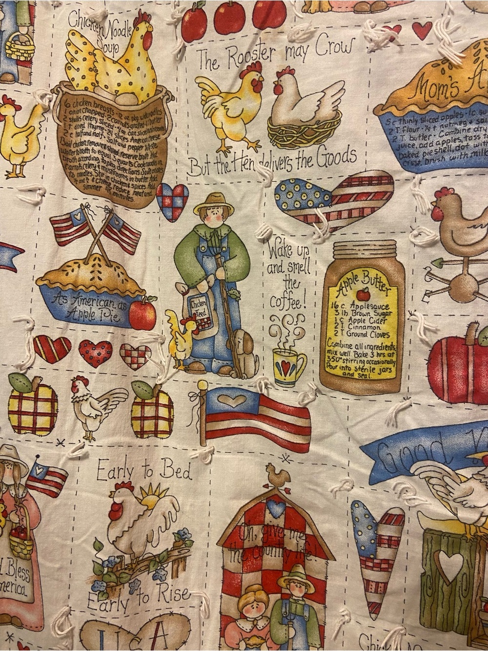 Hand Crafted Cream Quilt with Blue Border and Multicolor Country Print - Picture 3 of 7